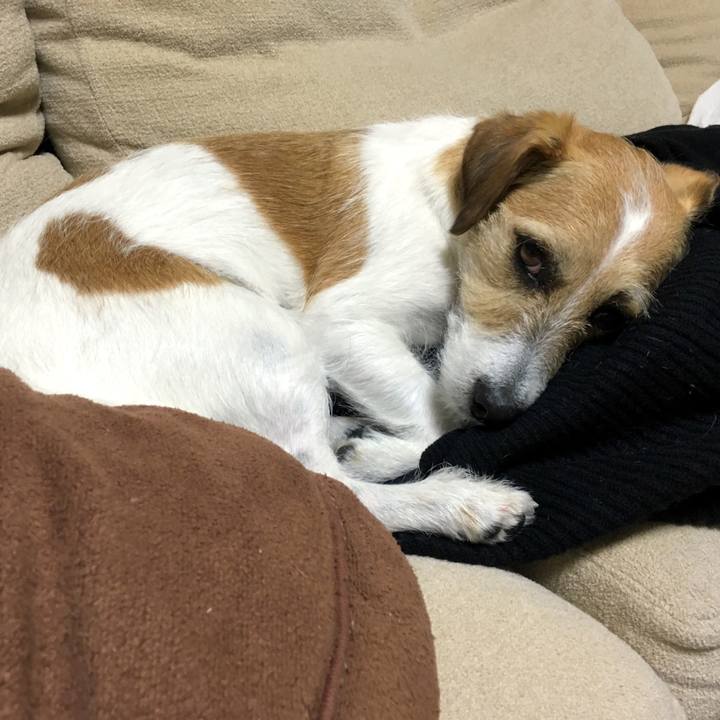 Dac2ffae 9e6f 4bef 8ebe 460f65d71031 1579703564255