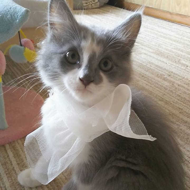 Dac301aa 7251 4666 9eaf d9f091800c83 1562637046556