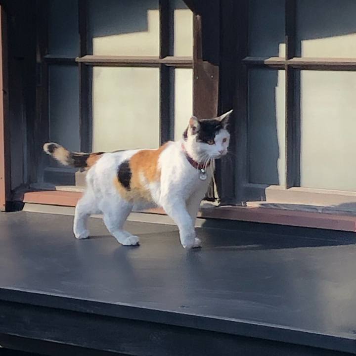 Dac32a81 6429 4159 a3e3 e442176f3e59 1615076962284