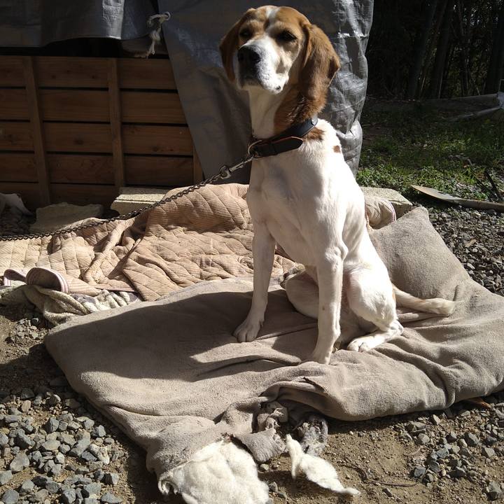 Dac32ef5 8373 42a7 9d53 d437b2db8072 1647428831701