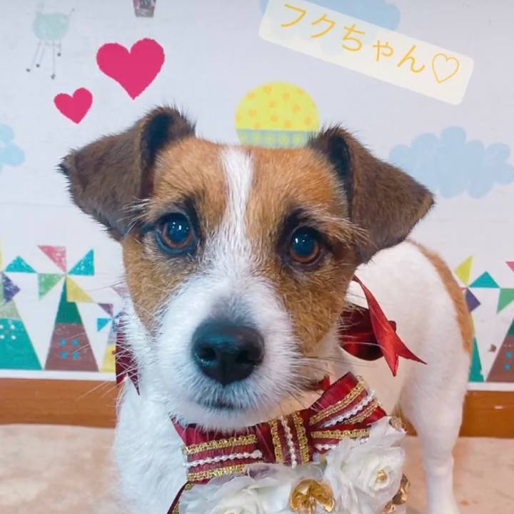 Dac33940 e18a 4ccf 9c47 dd9d62ea690b 1668773804366