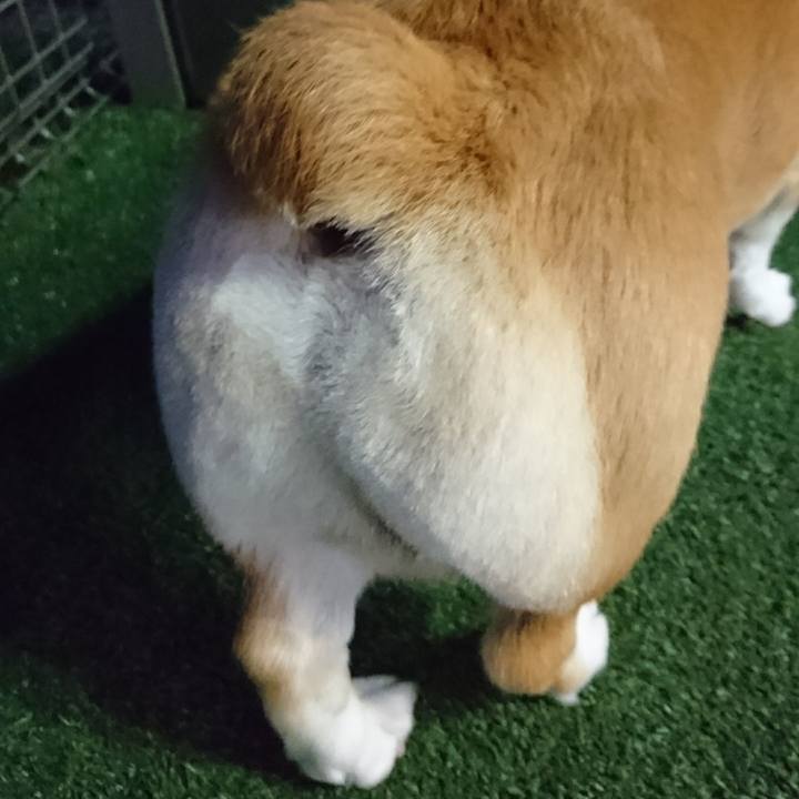 Dac34ff9 a2a6 4f63 adc8 e55f16954658 1592913126151