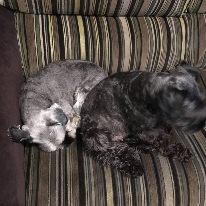 Dac35905 1dd3 4e66 b073 5b98453288e8 1508066788138