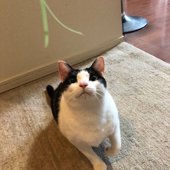 Dac3754e fb62 45a2 8e93 39eeed41e1ac 1551607524404