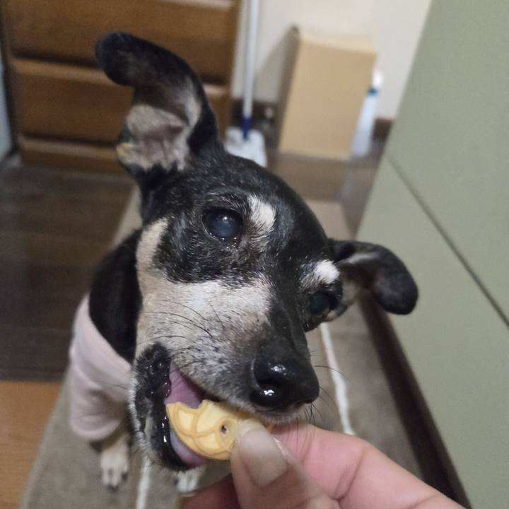 Dac37ea6 9a58 49f8 994d 2304c76553be 1762198831645