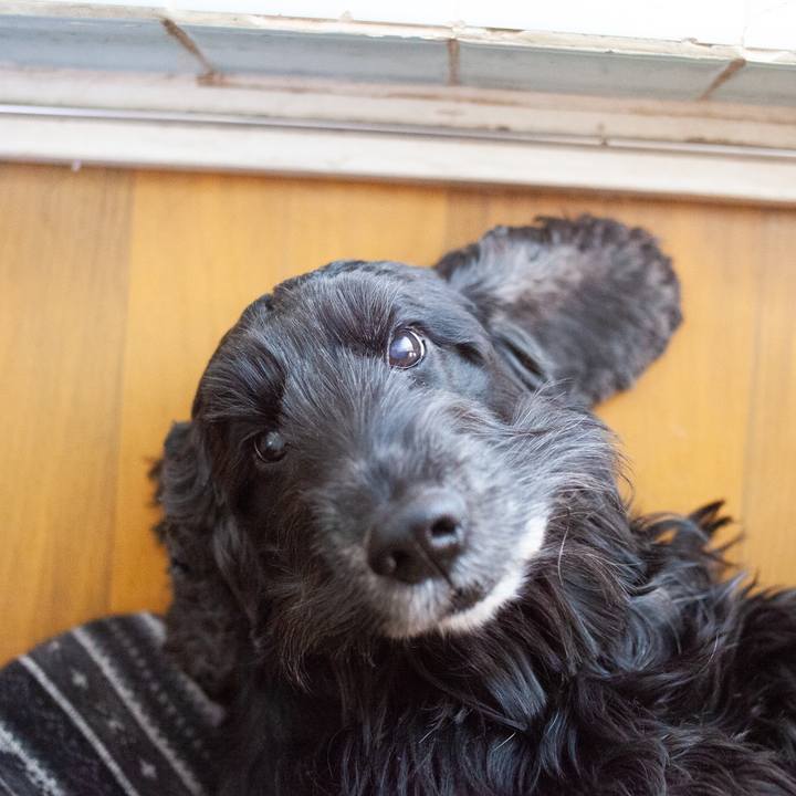 Dac38d96 737c 4115 978a 5b4d8085d062 1549108832520