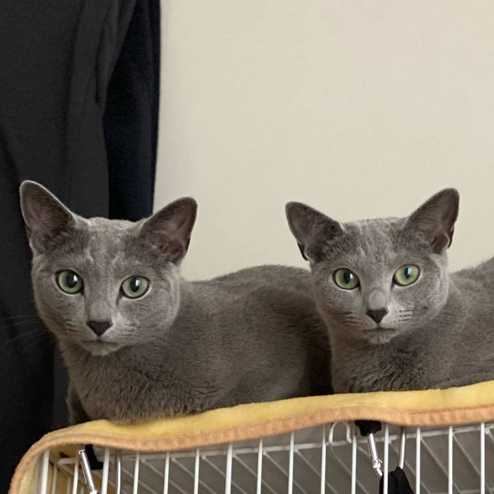 Dac3d53d 54ff 4cf0 b1b1 f3bda36cd7b6 1654816711581