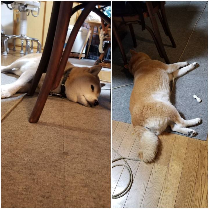 Dac3f26d 1790 450f 89fe 844cfb61740d 1696665931306