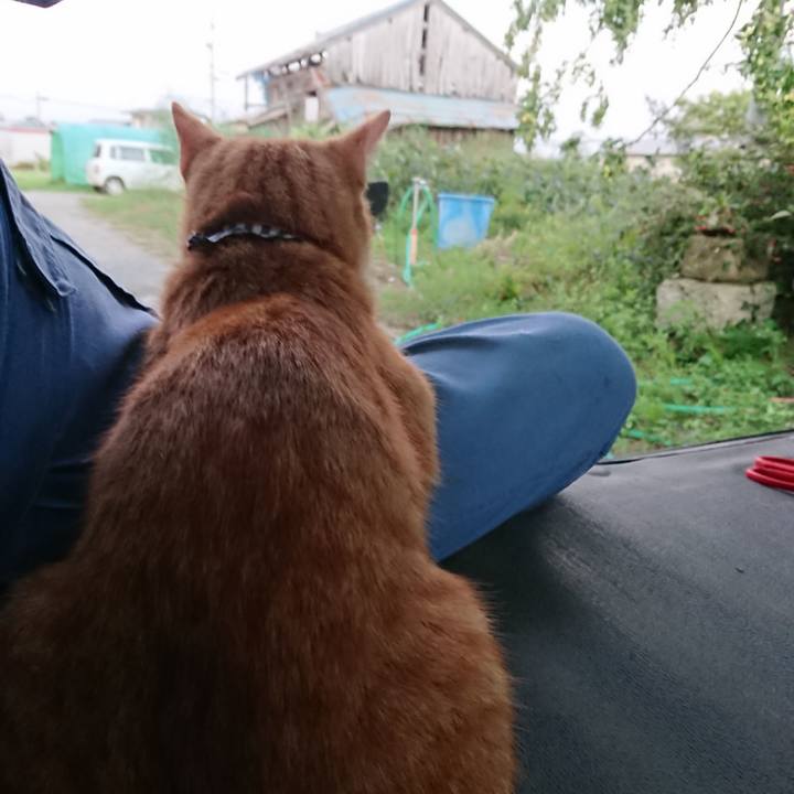 Dac432b5 dd7b 45ea 8a73 066896fa2c4d 1569228047967