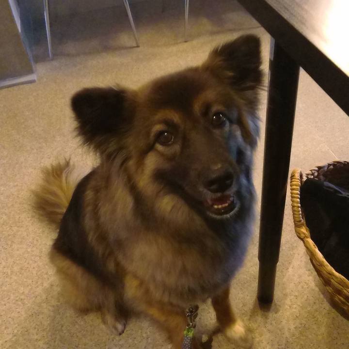 Dac444cc 5d2a 4414 81dc 1e17bcf8caf8 1768631140141