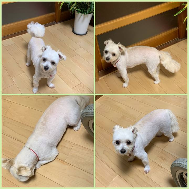 Dac49e3f a2ed 4c28 b2aa 898cbdb3581d 1595242339320