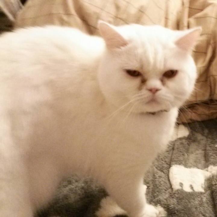 Dac4a322 aa95 4c03 9243 4e29a315c930 1520896069295