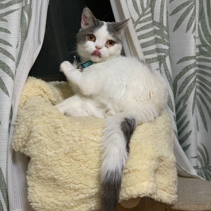 Dac50d97 a983 485e b7f3 708895f4ed2e 1654431924385