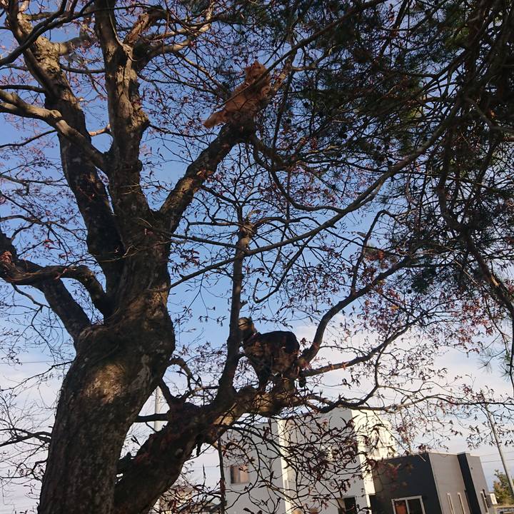 Dac5426f 3ded 46b9 9506 4463545791c2 1650716034703