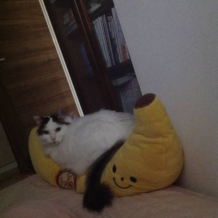 Dac55c0c 9f50 4150 b10c 422e453ccaf2 1620522958859