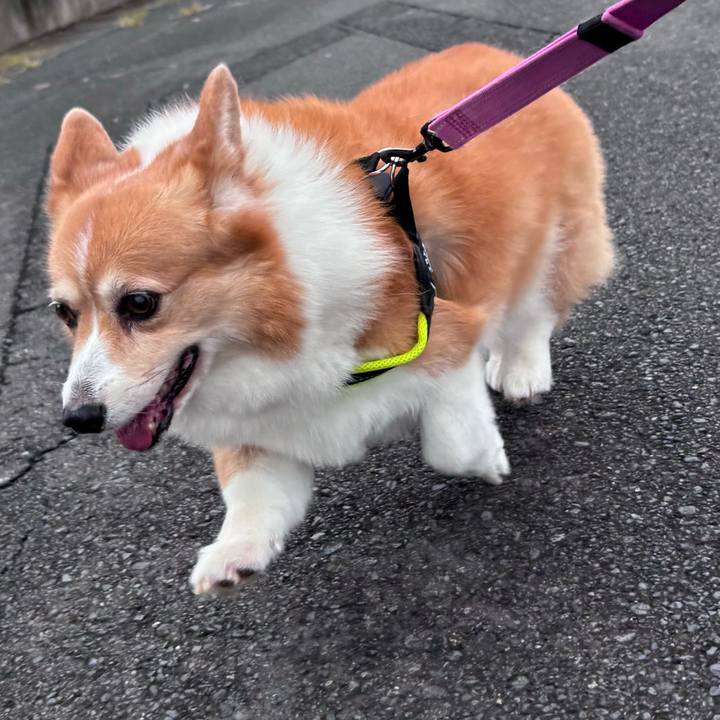 Dac56dd3 7d53 4f7e 8e43 80c11ffdcfcd 1754864354829