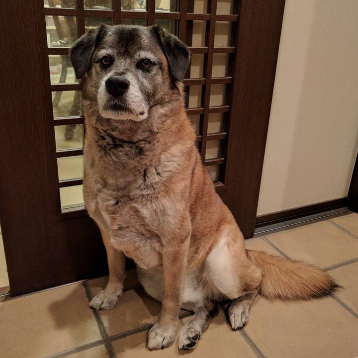 Dac59756 3285 4c11 a659 c4b19311ea1d 1713568443573