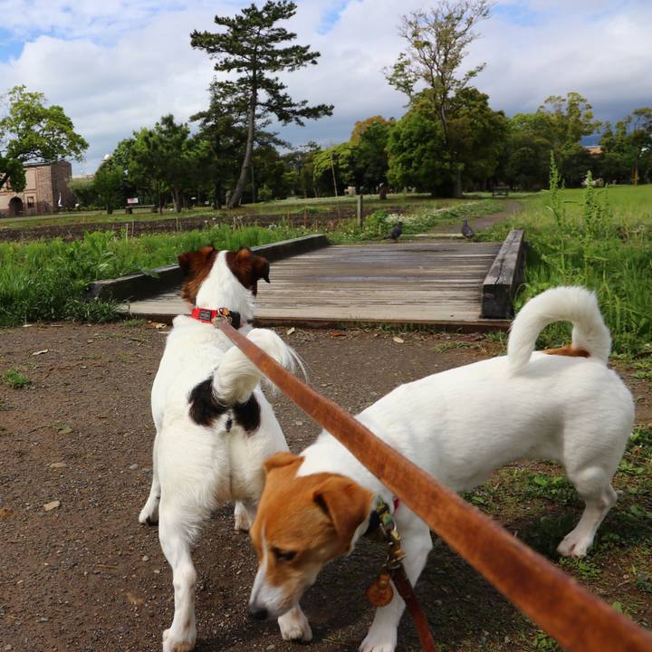 Dac5e6af d79c 43bf 896b cf81fc949124 1556328698742