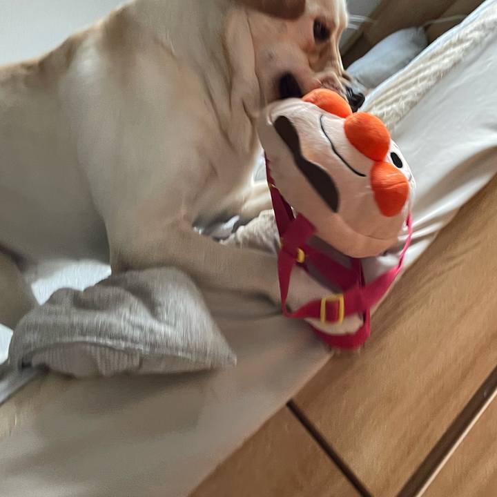 Dac5e962 e813 4e29 a1a8 806d36878f8d 1660432567495