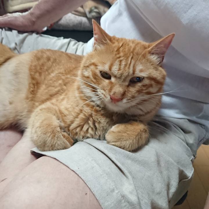 Dac5ec65 f8e5 4345 8d6e c5a4acbb965e 1657416440259