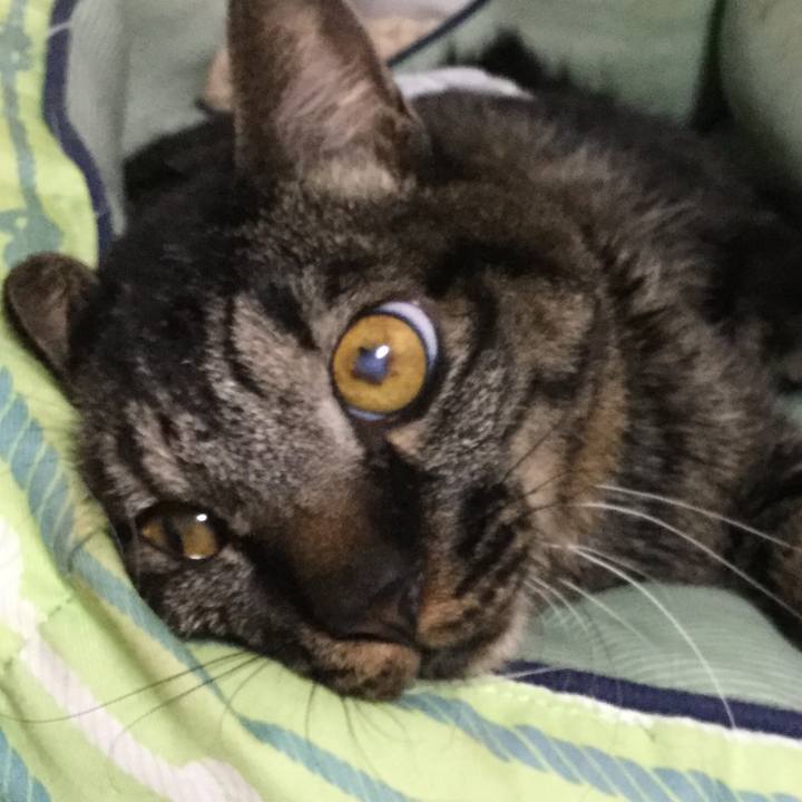 Dac5f8a7 537a 41c8 9d36 b3164ec30bdf 1601543473172