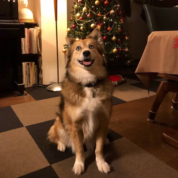 Dac6195c 8c21 41f8 9d0d 6d5844768b85 1543922038674