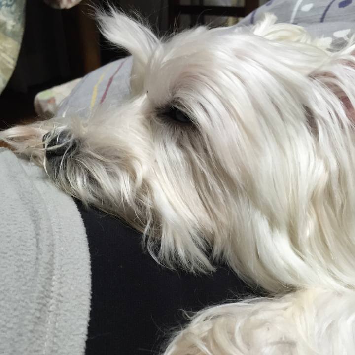 Dac64c45 d2b3 4af9 b364 a2ba4b624464 1514722533706