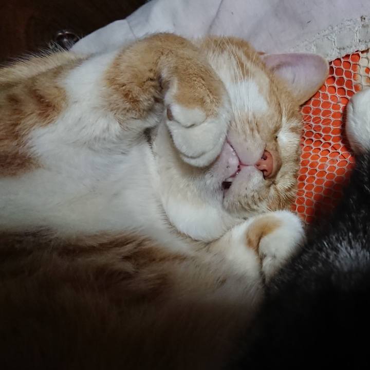 Dac69d9c 7b50 4b51 8aa4 a13054bc0c46 1577192431903