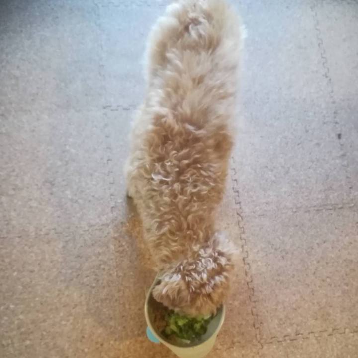 Dac6fa56 e26f 4061 bf6a 64f0be53f266 1555120303333