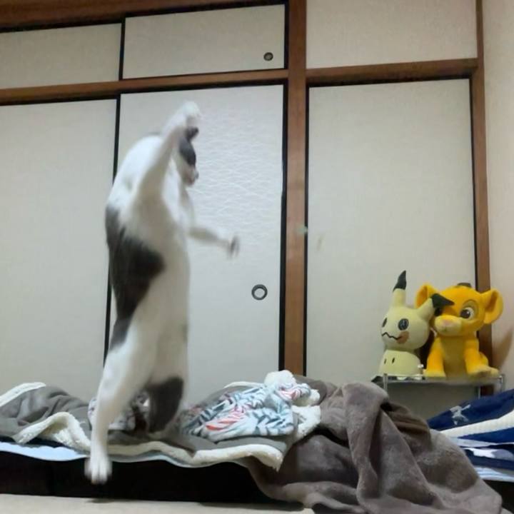 Dac72401 b831 4a1e 8e8b 5d430137ecc7 1701512168188