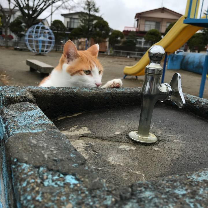 Dac73927 05ae 48f2 9e79 8a0e7073872a 1511492931940