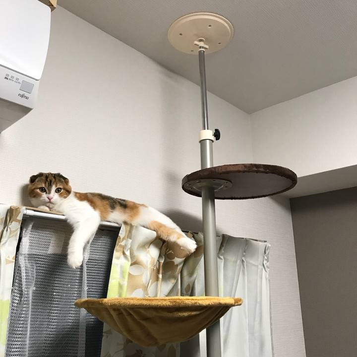 Dac78cb9 7f13 4e80 a710 25f495a52d2e 1510128305918