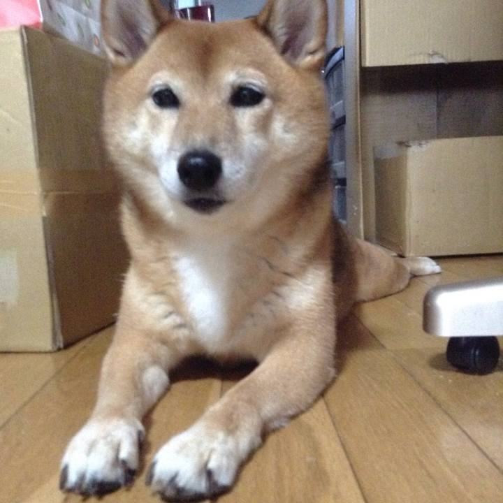 Dac79a48 ebc1 45d6 9022 6491dde204dc 1534376996450