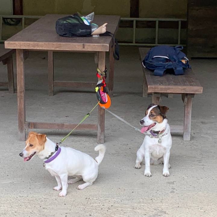 Dac7cdb0 f08c 44a9 86a7 e80f43039ee4 1592648795614