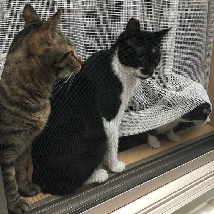 Dac7dead be67 4b47 a4d3 1540cd9d52ab 1536784334299