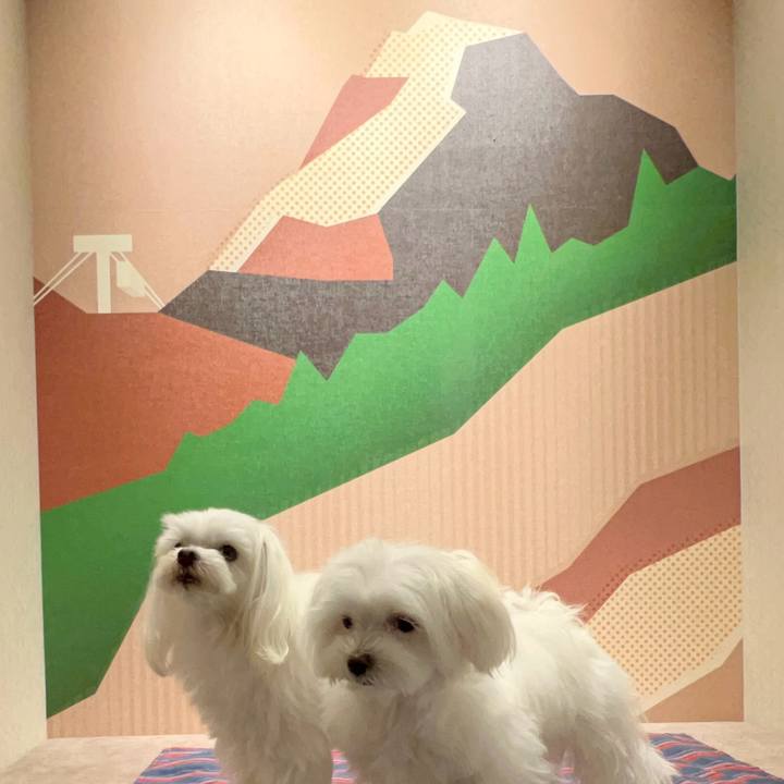 Dac7eef9 cb67 4505 b06e a712906abda8 1715317776540