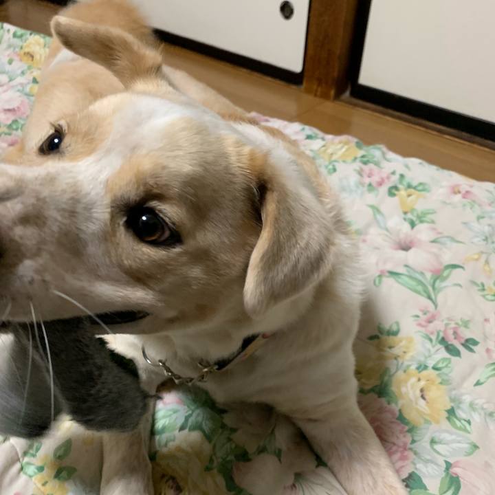 Dac7f6ce b9f4 4c2e b604 d59a126287c5 1553853590202