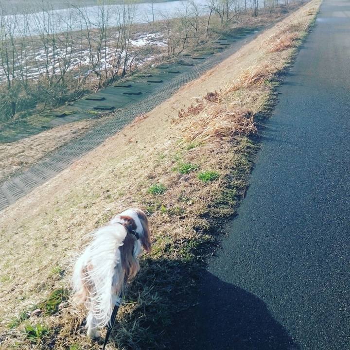 Dac7f990 0f5d 4c2f 9f3c f04920b0a7a2 1554502691096