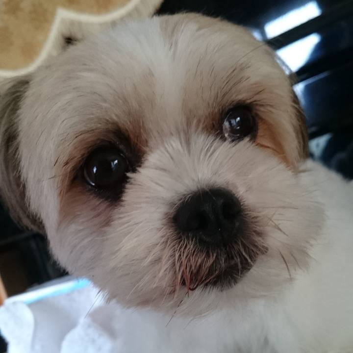 Dac81a1a e8d0 4c9b 9682 3a09827de5f1 1594636807426