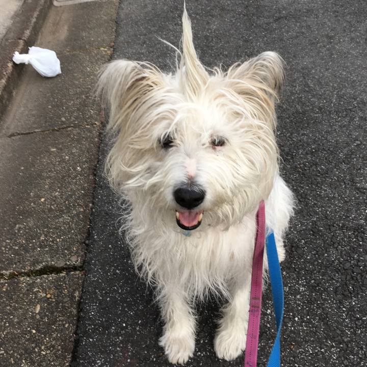 Dac82a98 680d 4c91 90ae b658d29ca470 1645630863326