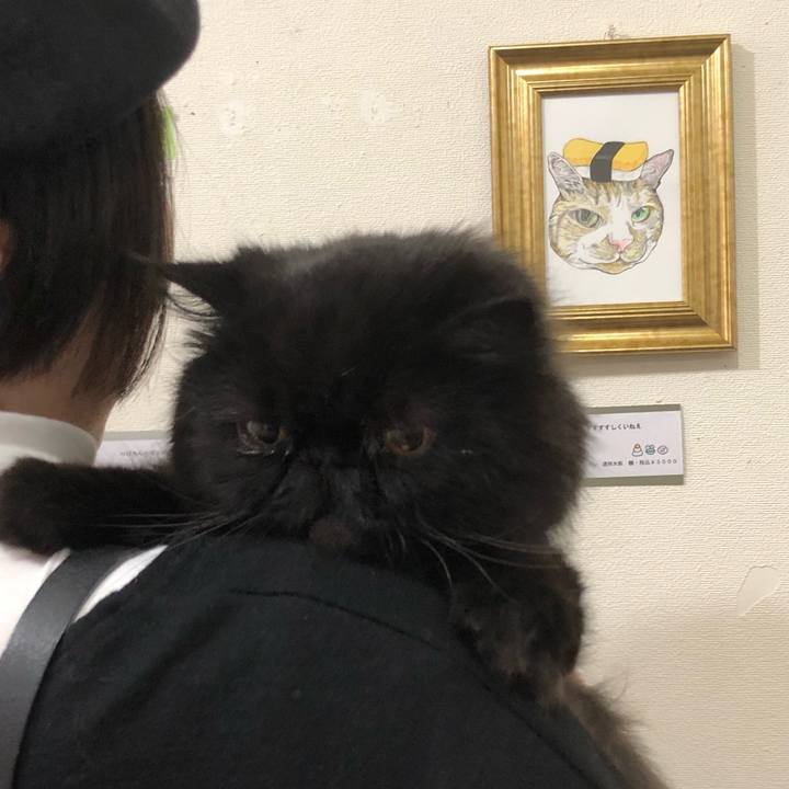 Dac83d70 90fc 4b5d a52e 35e9b8d015bc 1733631124045