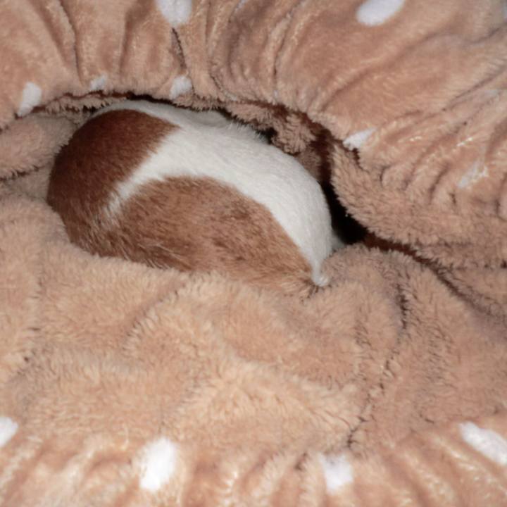 Dac8651b 6498 4038 81f0 019e2aa85651 1510739741962