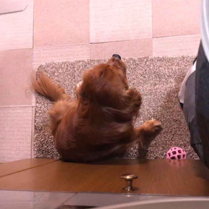 Dac88beb 6099 4d17 bc24 e786a20b94ae 1599748899261