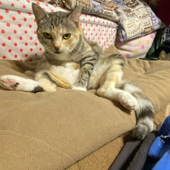 Dac8b4e1 6548 4c88 9b77 7e51ae14b527 1616849351250