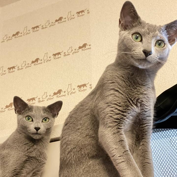 Dac8c04c ef9f 4035 844c 2bf1b9969665 1617503289609