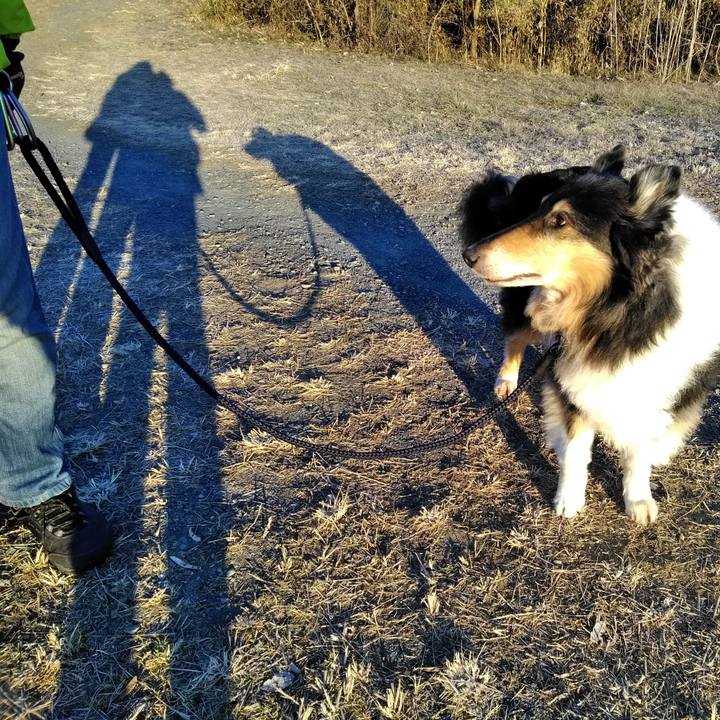 Dac8e561 dacf 4ce2 a37a d663fa771fc6 1548508909289