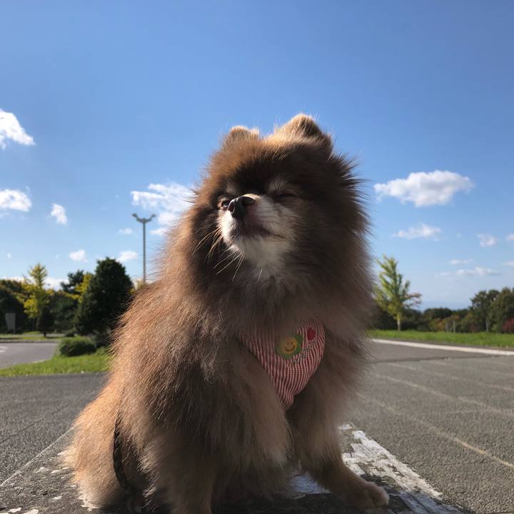 Dac8fc5b 80f0 467e aed0 3a94710c2af1 1635045929518