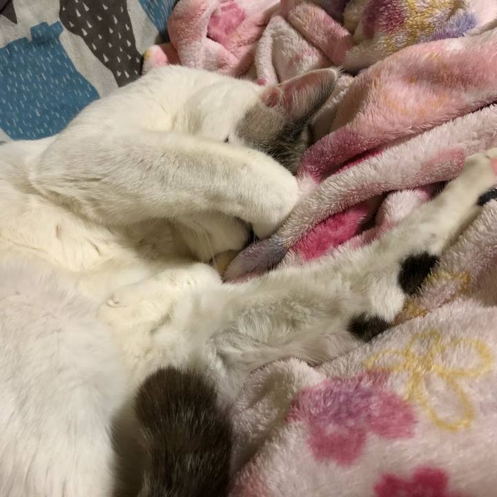 Dac95267 b949 4ec0 b4d0 9e953d0db0b3 1576685415179