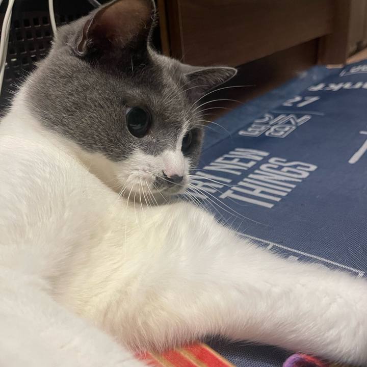 Dac9620e 2a59 49f7 ac75 1ba1ad299737 1724412080480