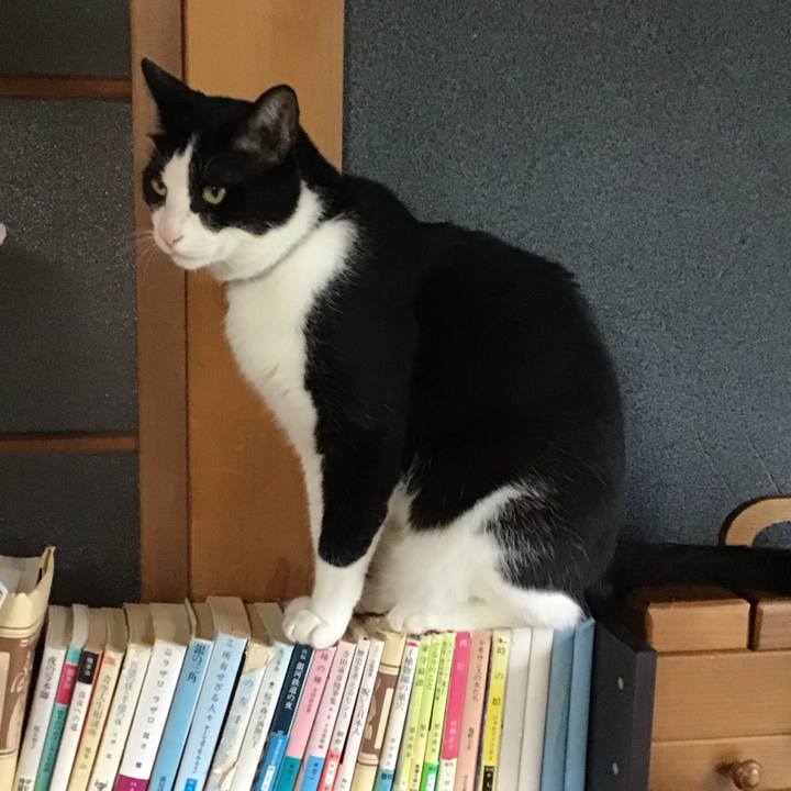 Dac9795a 6600 4160 8815 23023e4f2351 1686737059487